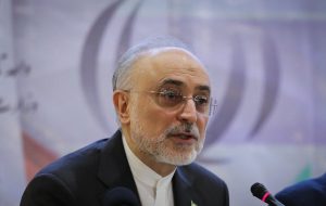 صالحی: غنی سازی ۶۰ درصد و پایین‌تر ادامه دارد/ در حال حاضر میزان ذخیره اورانیوم ۶۰ درصدی بیش از ۲ کیلوگرم است