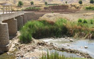 بازدید مدیر عامل شرکت آب منطقه ای از رودخانه چرداول