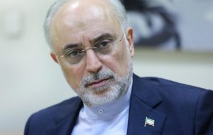 علی اکبر صالحی: در دوران ریاست‌جمهوری روحانی از منجنیق فلک سنگ فتنه می‌بارید/ هیچ یک از دولت‌های ایران با این حجم از بلایا روبه رو نبوده/ بروز و ظهور برخی بداخلاقی‌های سیاسی در داخل بر سختی این امور افزود/ این دولت در میدان جنگ طاقت فرسا از پا درنیامد