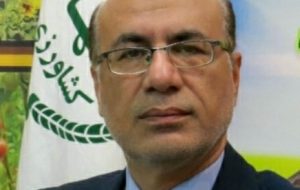 رئیس سازمان جهاد کشاورزی استان ایلام خبر داد: سرشاخه کاری در باغات گردو؛ انقلابی در اقتصادی کردن باغات گردوی استان ایلام