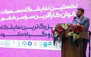 وزیر کار: در اصلاح یارانه‌ها ۴۰۰ میلیارد تومان به ۹۰ درصد مردمی رسید که استحقاق این منابع را داشتند/ در قالب الگوی ارز ۴۲۰۰ تومانی، یک پنجم آن به مردم می‌رسید و بقیه به دلالان، قاچاقچیان و تولیدکنندگان خارجی