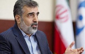 سخنگوی سازمان انرژی اتمی: صرف مشاهده آلودگی در چند مکان را نمی‌توان نشانه‌ای از وجود مواد هسته‌ای اظهار نشده تلقی کرد
