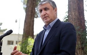 رئیس سازمان انرژی اتمی درباره میزان ذخایر اورانیوم کشور: عدد و رقم به چه درد شما می‌خورد؟/ آنچه غنی‌سازی می‌کنیم برای اهداف تعریف شده‌ای است که در بخش صنعتی از آن استفاده می‌کنیم