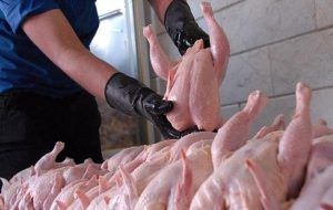 وزارت کشاورزی خطاب به مرغداران: اگر مرغ با قیمت مصوب توزیع نشو‌د قطعاً وارد می‌کنیم