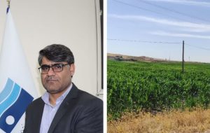 رونق کشاورزی دشت های زرنه و تِرَن، تحت پوشش شبکه آبیاری سد کنگیر رونق کشاورزی دشت های زرنه و تِرَن، تحت پوشش شبکه آبیاری سد کنگیر