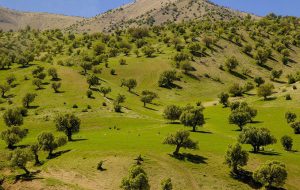 مدیرکل منابع طبیعی و آبخیزداری استان ایلام تاکید کرد: طرح همیاران طبیعت از طرحهای موفق سازمان منابع طبیعی در بخش ترویج و آموزش جوامع محلی است مدیرکل منابع طبیعی و آبخیزداری استان ایلام تاکید کرد: طرح همیاران طبیعت از طرحهای موفق سازمان منابع طبیعی در بخش ترویج و آموزش جوامع محلی است