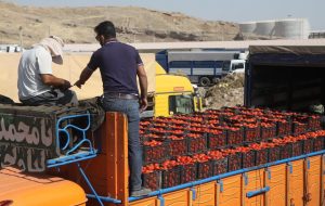 مدیرکل گمرک استان ایلام خبر داد: ۴۷ میلیون دلار محصولات کشاورزی از مرز مهران صادر شد