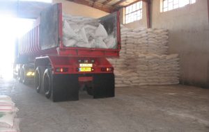 مدیر شرکت خدمات حمایتی کشاورزی ایلام خبر داد: توزیع کود پتروشیمی مسجد سلیمان در شهرستان های استان ایلام مدیر شرکت خدمات حمایتی کشاورزی ایلام خبر داد: توزیع کود پتروشیمی مسجد سلیمان در شهرستان های استان ایلام