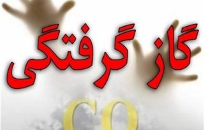 مدیرعامل سازمان آتش‌نشانی و خدمات ایمنی شهرداری ایلام: تجمع گاز منواکسیدکربن در فضاهای بسته سیستم تنفسی فرد را مختل می کند