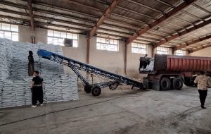 مدیر شرکت خدمات حمایتی کشاورزی ایلام خبر داد: تامین و توزیع کود اوره از مبداء پتروشیمی مسجد سلیمان در فصل پاییز مدیر شرکت خدمات حمایتی کشاورزی ایلام خبر داد: تامین و توزیع کود اوره از مبداء پتروشیمی مسجد سلیمان در فصل پاییز