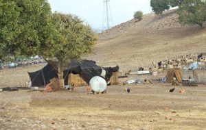 مدیرکل امور عشایر استان از استقرار یکهزار و ۶۷۰ خانوار عشایر مهمان در ایلام خبر داد مدیرکل امور عشایر استان از استقرار یکهزار و ۶۷۰ خانوار عشایر مهمان در ایلام خبر داد