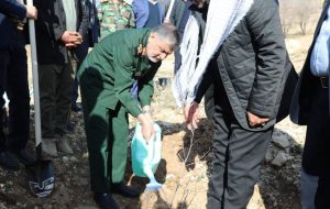 برگزاری آیین کاشت ۲۵۲ هزار نهال در ایلام با مشارکت گروههای جهادی برگزاری آیین کاشت ۲۵۲ هزار نهال در ایلام با مشارکت گروههای جهادی