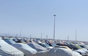 سرپرست شهرداری مهران خبر داد: 90 درصد ظرفیت پارکینگ اربعین مهران تکمیل است سرپرست شهرداری مهران خبر داد: 90 درصد ظرفیت پارکینگ اربعین مهران تکمیل است