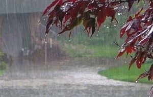 کارشناس پیش‌بینی هواشناسی استان خبر داد: گنجوان پیشتاز بیشترین میزان بارندگی در ایلام