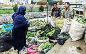 مدیرکل منابعطبیعی و آبخیرداری ایلام خبر داد: تشکیل ۲۲ پرونده تخلف برداشت گیاهان خوراکی در ایلام مدیرکل منابعطبیعی و آبخیرداری ایلام خبر داد: تشکیل ۲۲ پرونده تخلف برداشت گیاهان خوراکی در ایلام