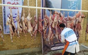 ۱۵ هزار کیلو گوشت قربانی بین نیازمندان ایلام توزیع شد/جمع آوری ۵۰۵ رأس دام قربانی در عید سعید قربان