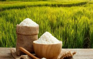 نگرانی‌ها از شیب تند گرانی برنج/ قیمت برنج به انفجار می‌رسد؟